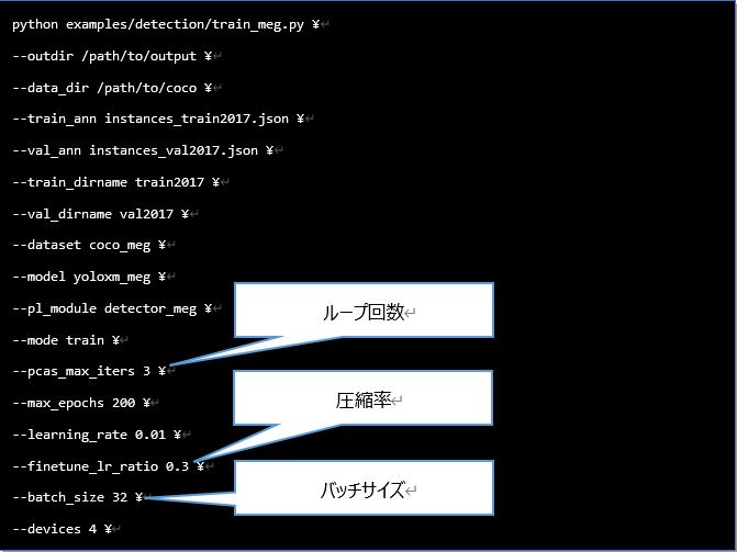 実行コマンド
